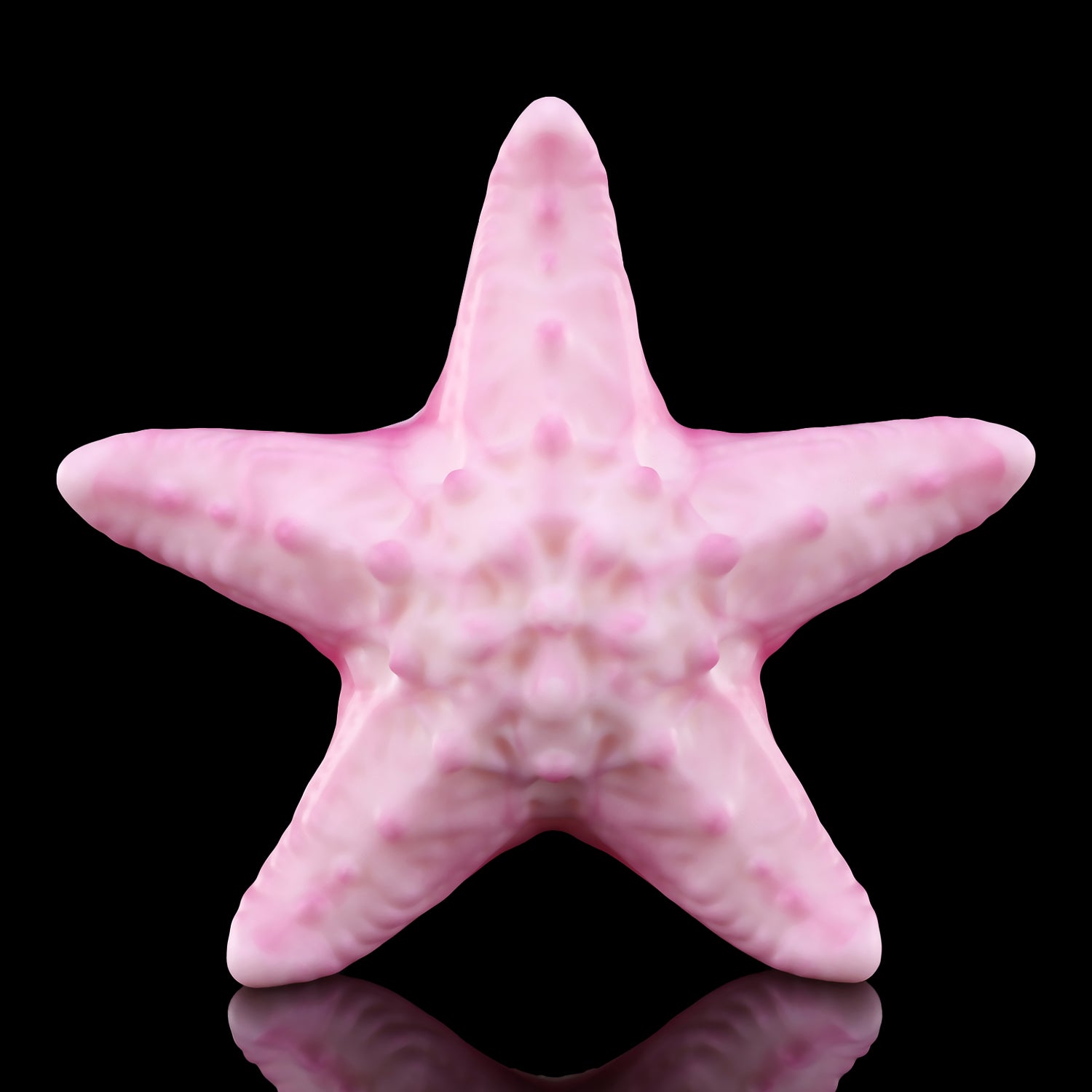 Nothosaur-asteri Fantasy toy grinding toy female vibrator riding toy clitoral stimulation
