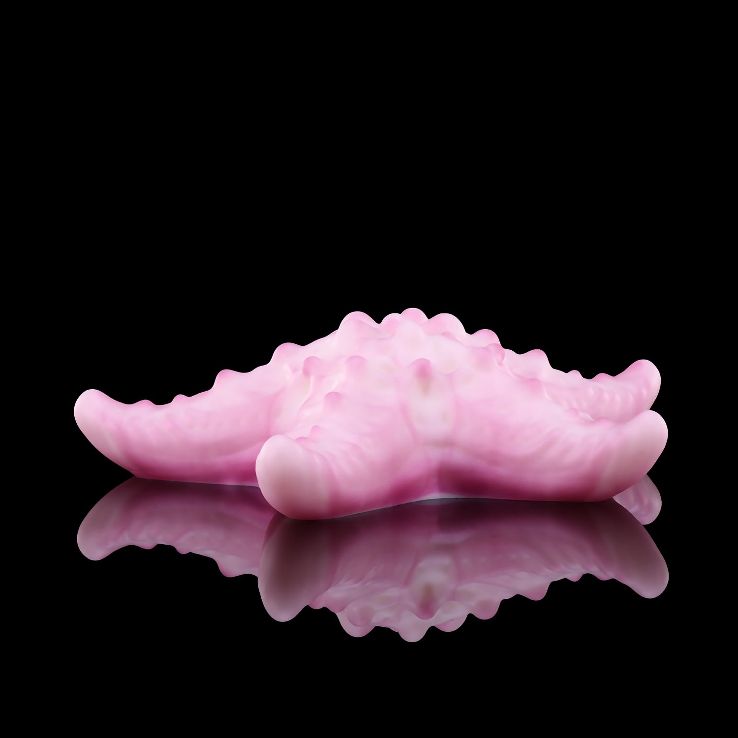 Nothosaur-asteri Fantasy toy grinding toy female vibrator riding toy clitoral stimulation