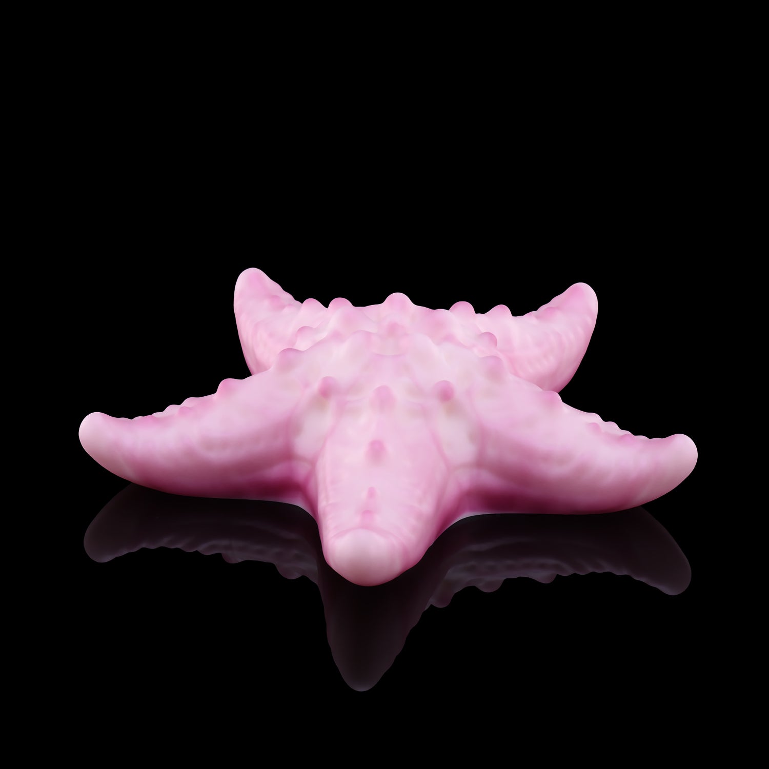 Nothosaur-asteri Fantasy toy grinding toy female vibrator riding toy clitoral stimulation