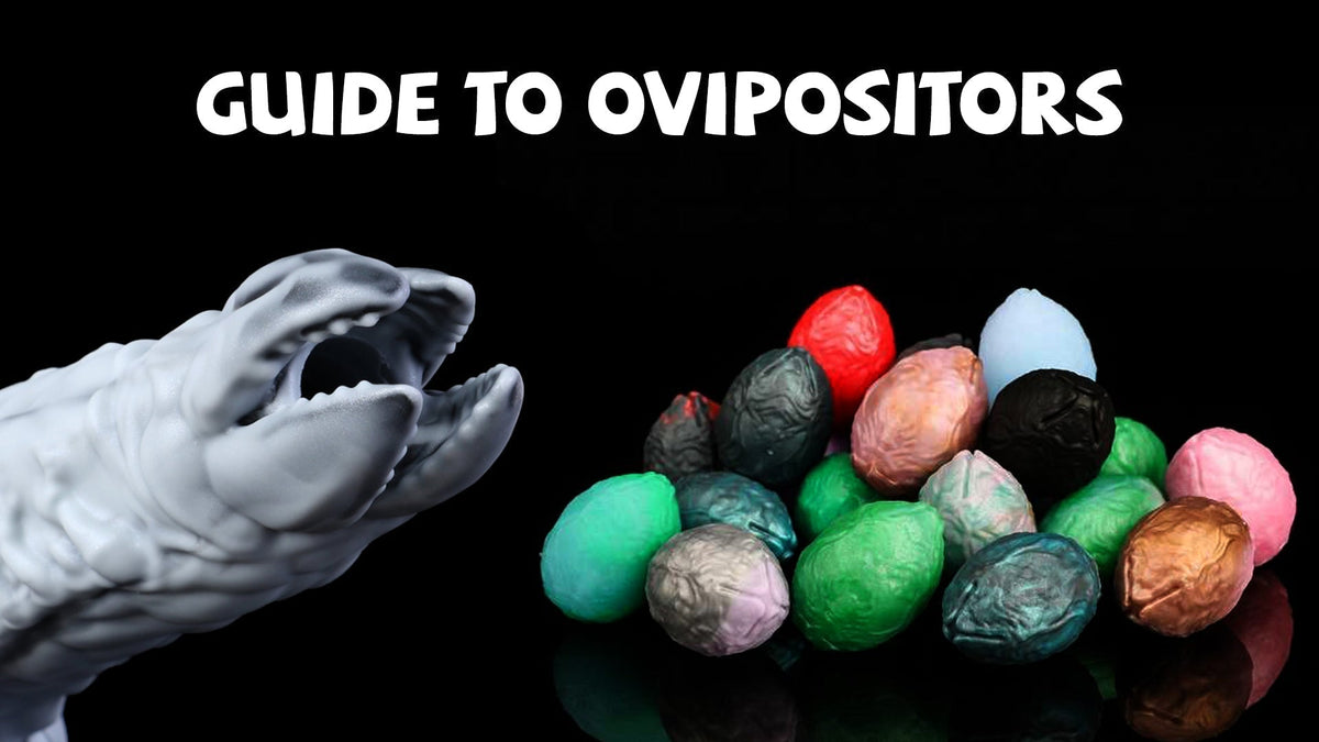 Nothosaur Ovipositor and Egg Production