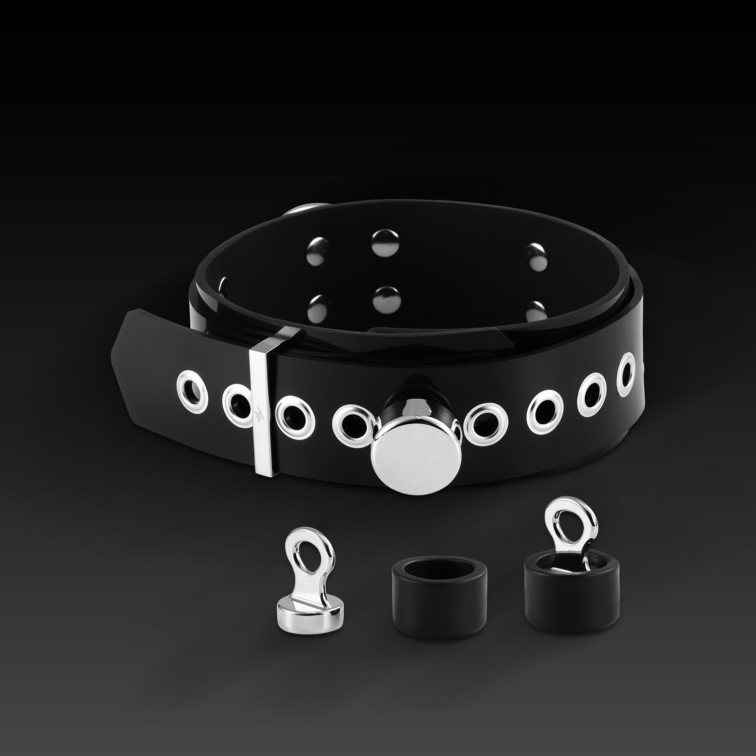 Buckle Harness Combo