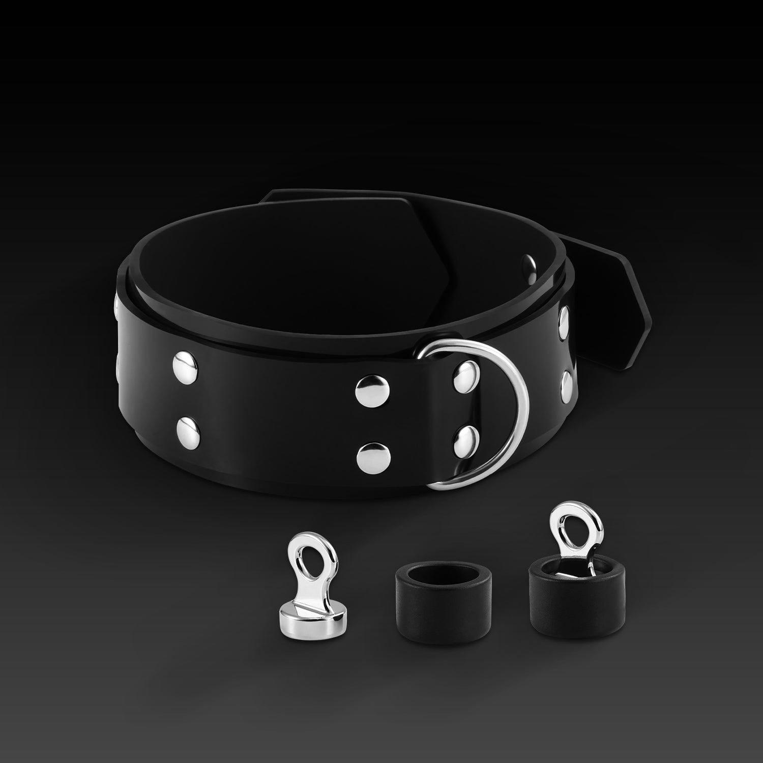 Buckle Harness Combo