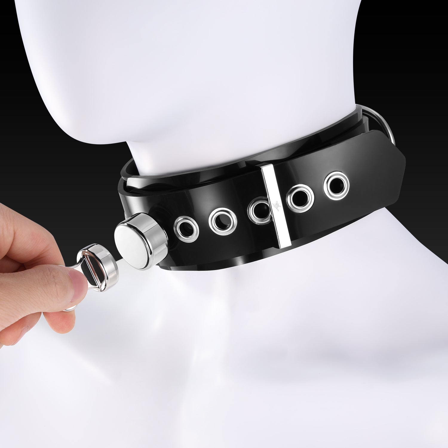 Buckle Harness Combo