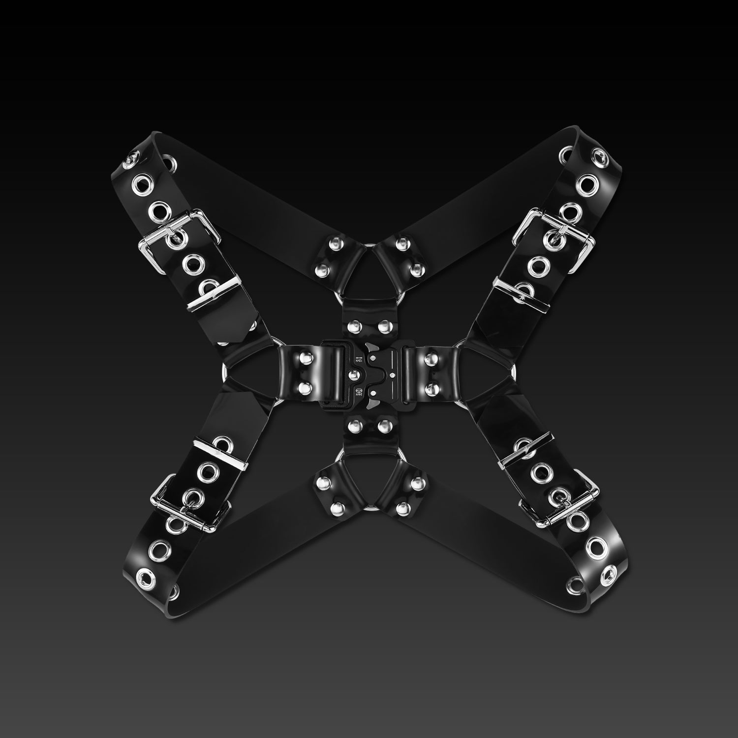 Buckle Harness Combo