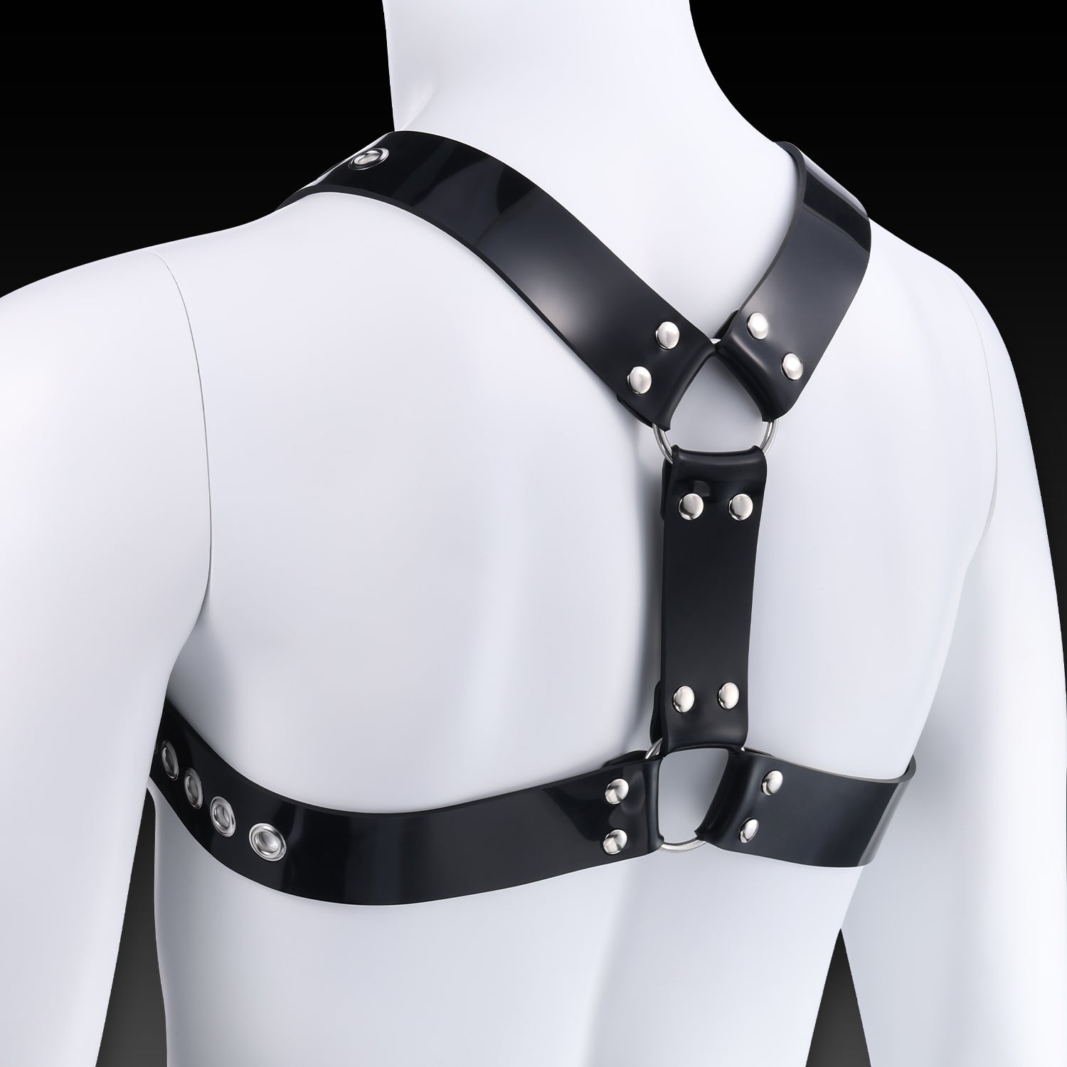 Buckle Harness Combo