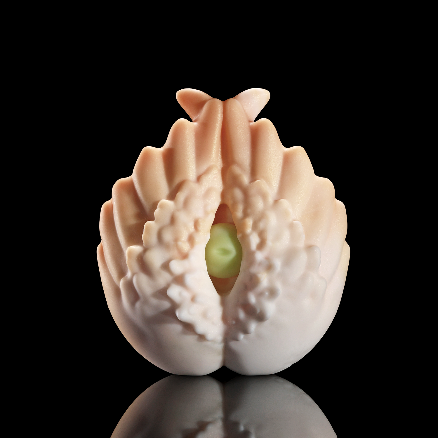 nothosaur Virgo's Gaze  Female stimulator unique design soft waterproof rechargeable