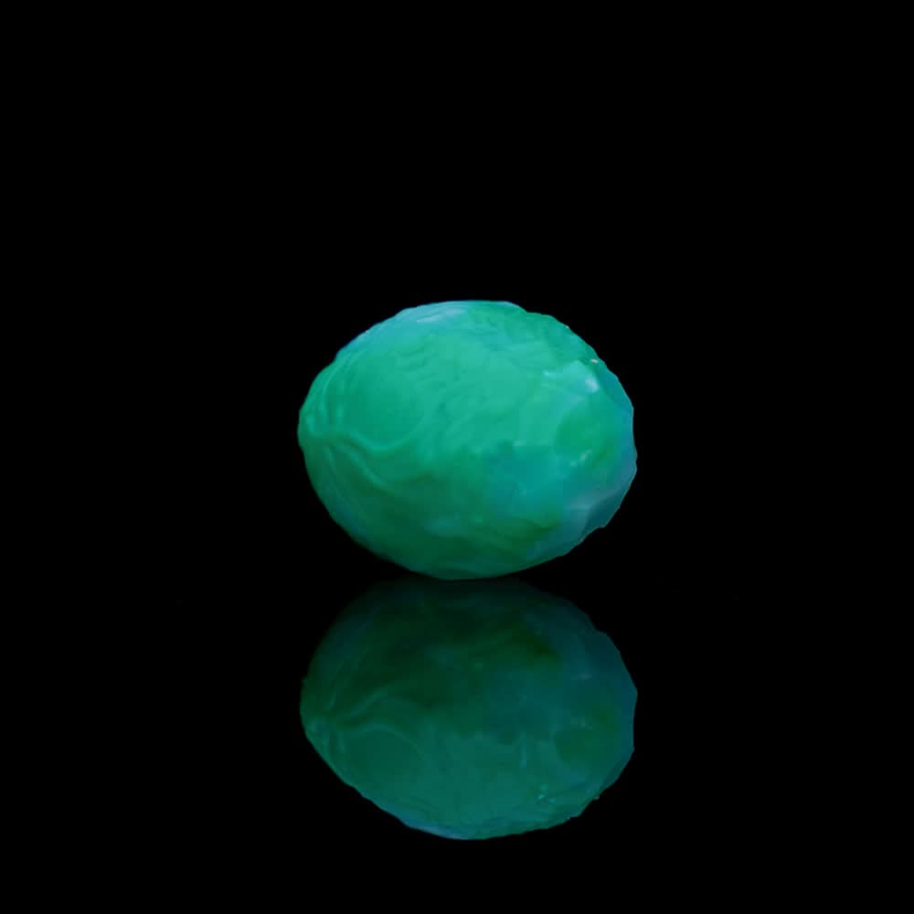 Translucent green oviposition egg with wrinkled veiny texture on black background.