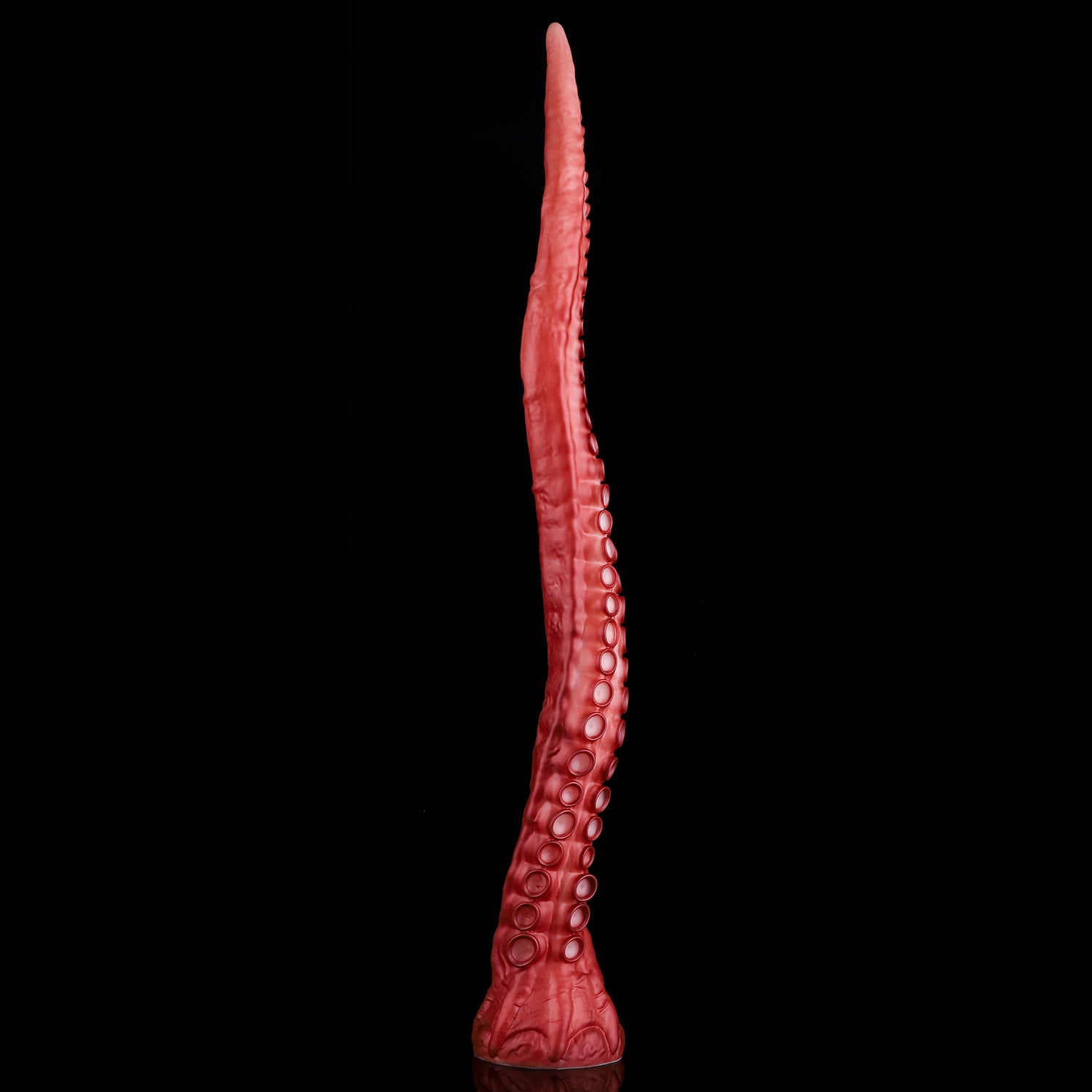 ALLA curved tentacle dildo with raised suction cups and sculpted flared base - XL side profile